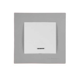 Διακόπτης Μπουτόν με Φως 230V με Πλαίσιο Μονό Γκρί Rita